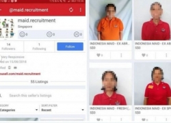 VIRAL! Tenaga Kerja Asal Indonesia Dijual Secara Online di Singapura