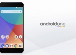 Survei: Pengguna Xiaomi Lebih Suka Android One Dibanding MIUI 9