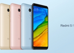 5 Hal Yang Harus Kamu Ketahui Tentang Xiaomi Redmi 5 Plus