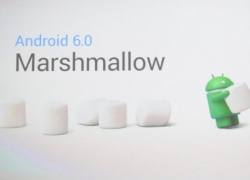 Marshmallow Jadi OS Paling Digemari Pengguna Android