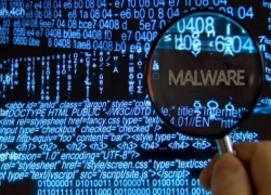 Hati-Hati! 200 Ribu WordPress Website Diduga Terjangkit Malware