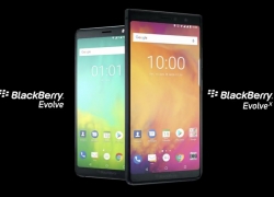 Bakal Dirilis, Ini Spesifikasi dan Harga BlackBerry Evolve dan Evolve X