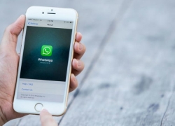 Cara Dapat Update Fitur WhatsApp Lebih Cepat di iPhone