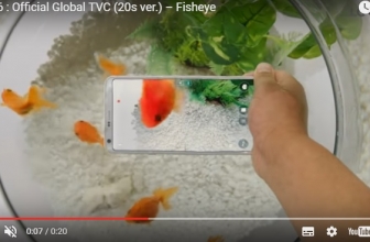 Asyik! LG G6 Diajak Berenang Bersama Ikan