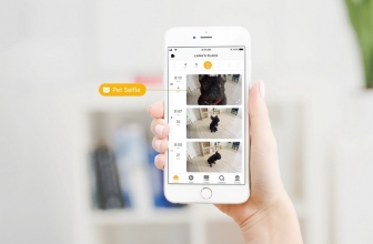 CES 2018: Petcube Mungkinkan Anjing Selfie dan Menelpon Pemiliknya