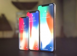 Tiga Versi iPhone Terbaru Bakal Tampil Warna-Warni