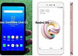 Antara ASUS ZenFone Live L1 dan Xiaomi Redmi 5A, Pilih Mana?