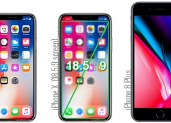 Yuk Bandingkan Besar Layar iPhone X dan iPhone 8 Plus