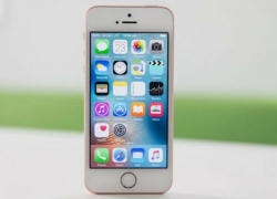 Apple Siapkan iPhone Baru Seharga Rp 5 Jutaan Maret Nanti