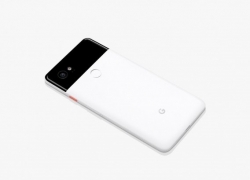 Pixel 2 dan Pixel 2XL Minimal Terima Pembaruan OS 3 Tahun