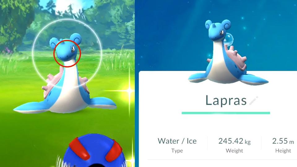 Lelaki 67 Tahun Meninggal Setelah Menangkap Pokemon Langka