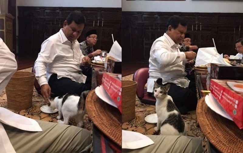 Netizen Nobatkan Kucing Prabowo Sebagai “Cat-izen” Pertama di Indonesia