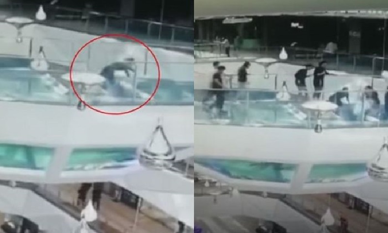 Ngeri, Berikut Video Detik-Detik Seorang Wanita Jatuh Ke Kolam Hiu