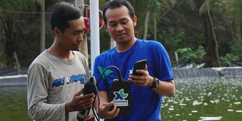 XL Axiata Bangun Smart Aquaculture